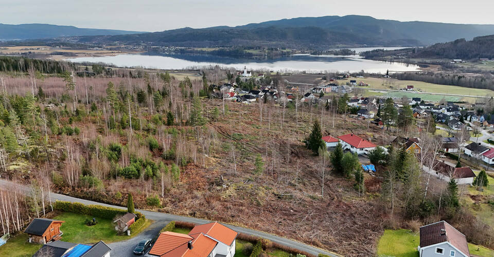 Top Image